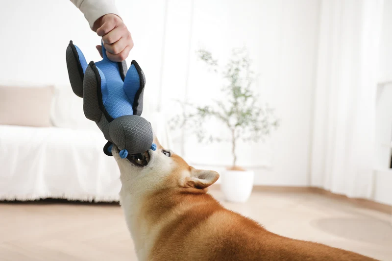 MEGA Dog toy Hippopotamus