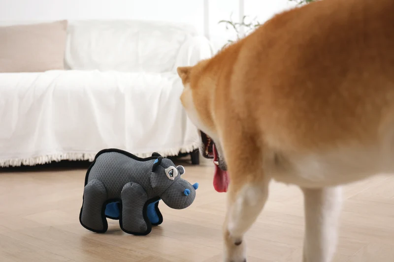 MEGA Dog toy Hippopotamus