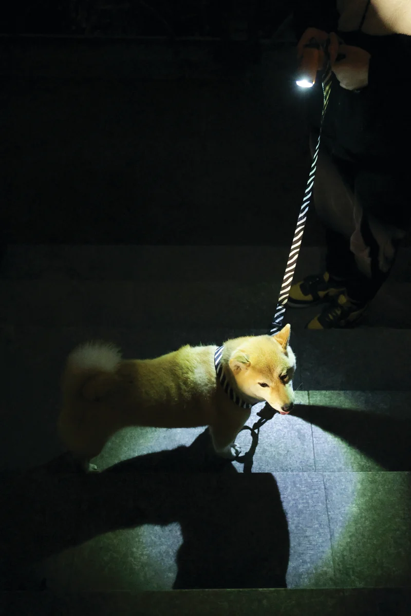 FLASH LED Poop Torch Orange