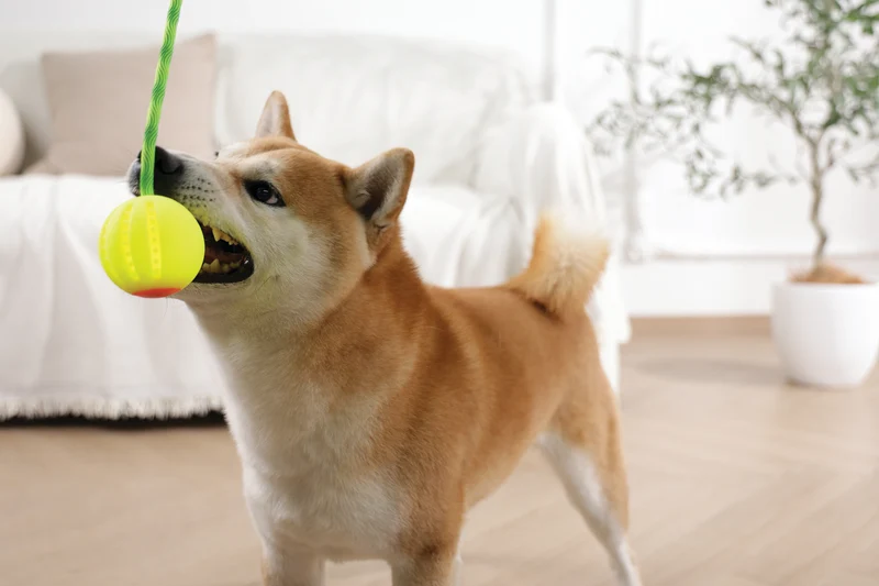FLASH LED Ball Green