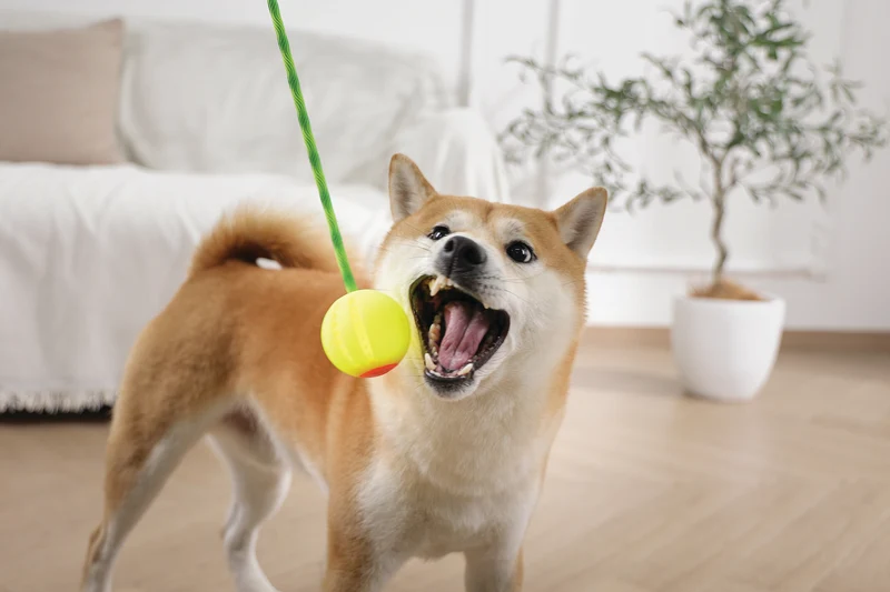FLASH LED Ball Green
