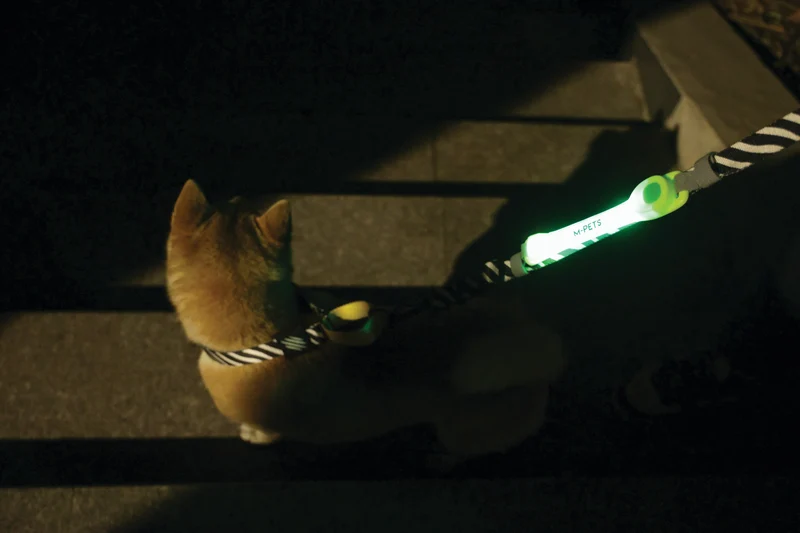 FLASH LED band Green