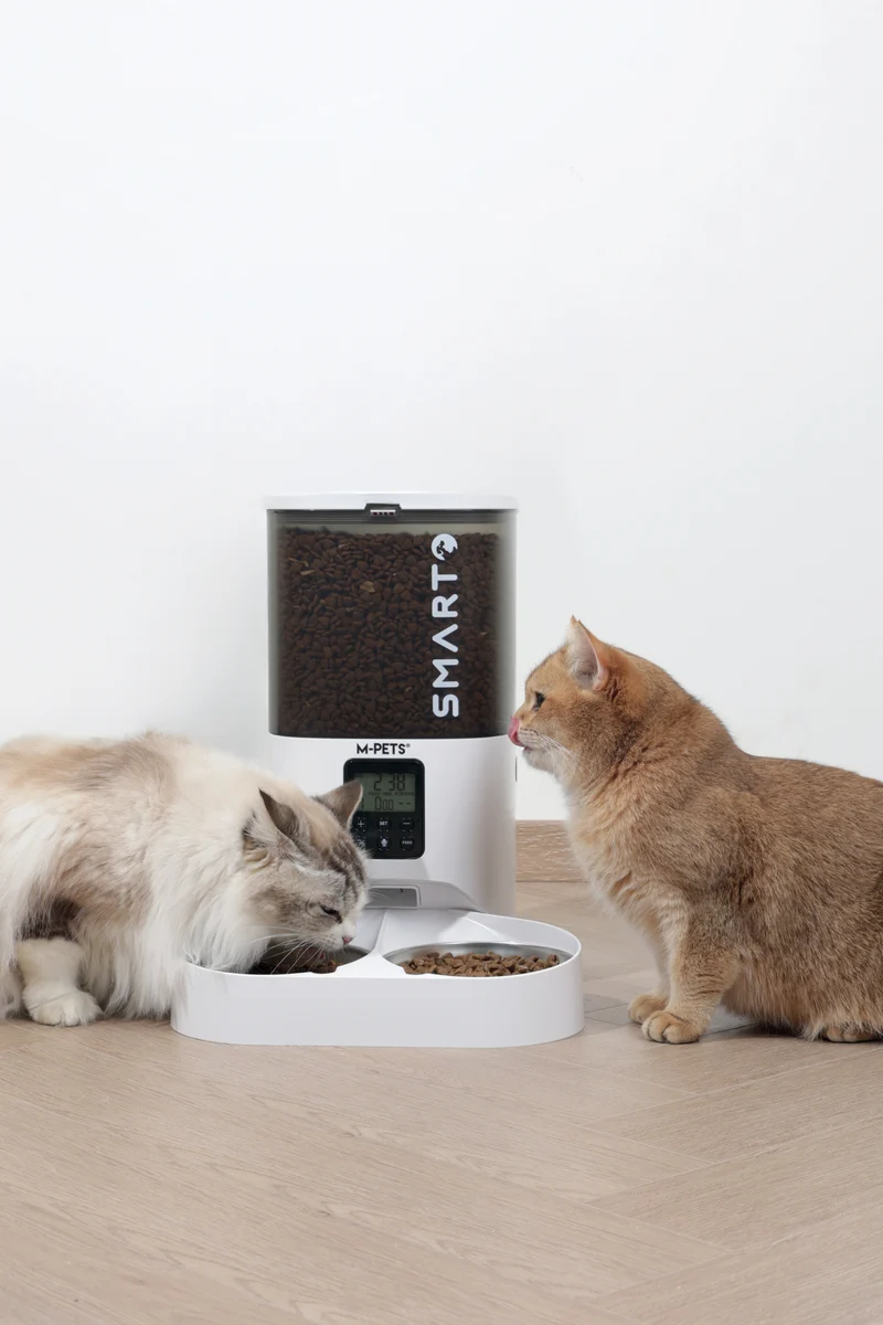 SMARTO M800 6L Automatic Food dispenser