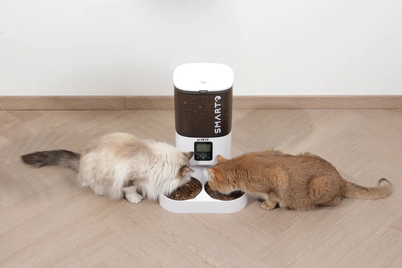 SMARTO M800 6L Automatic Food dispenser