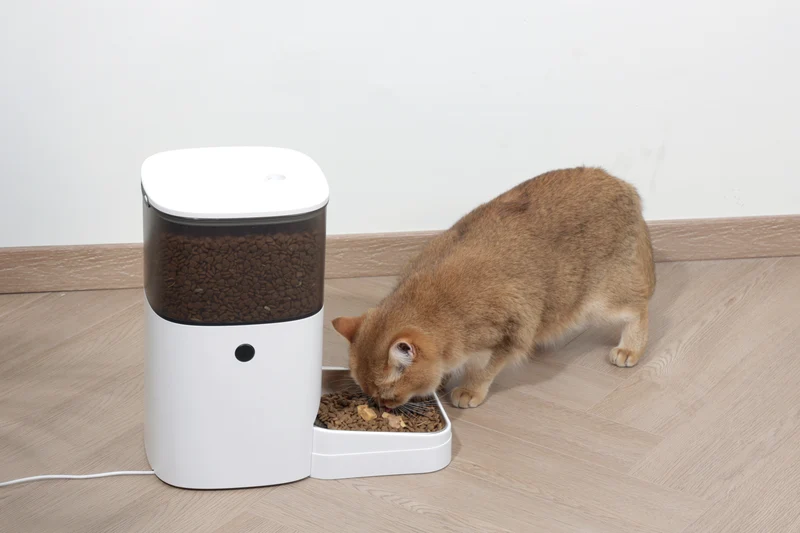 SMARTO M700 4L Automatic Food dispenser