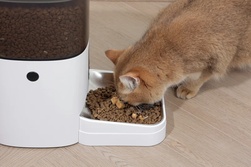 SMARTO M700 4L Automatic Food dispenser