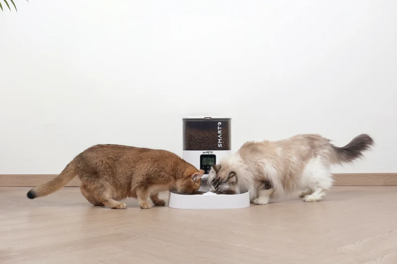 SMARTO M700 4L Automatic Food dispenser