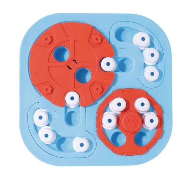 BRAINY GAMES Galileo