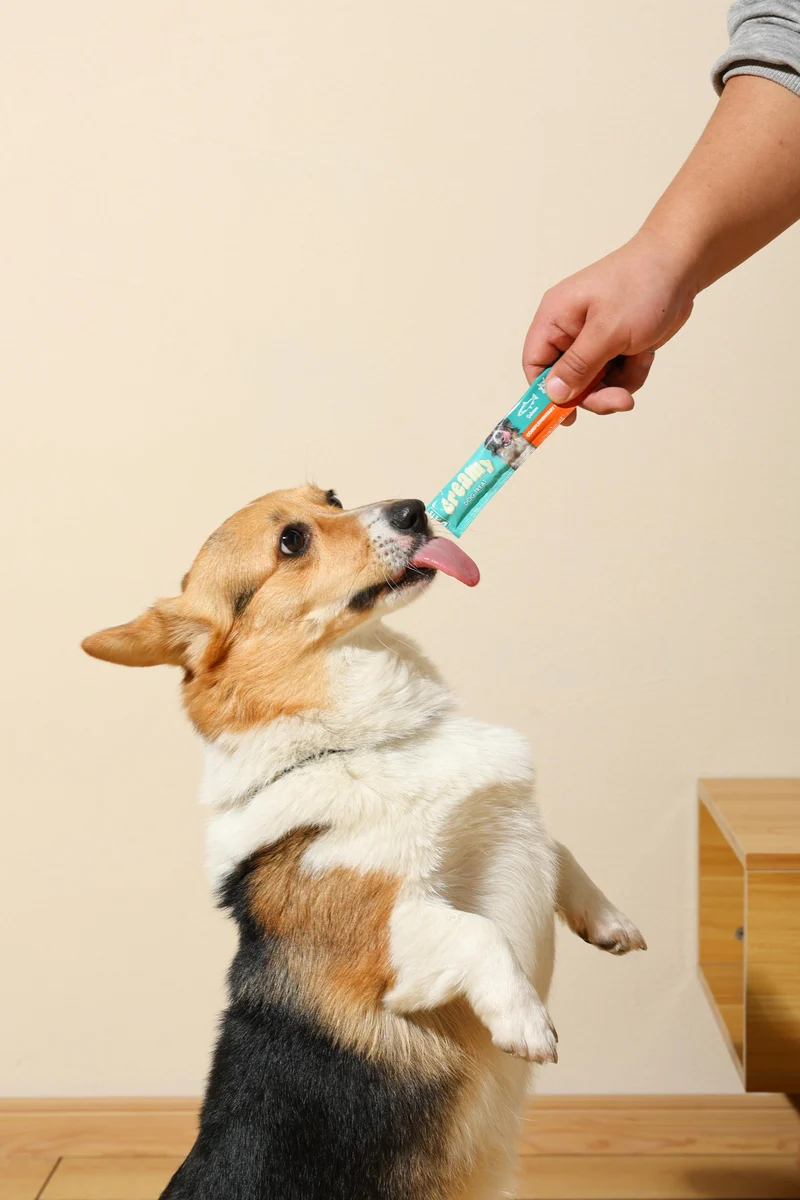 Creamy Treats for Dogs - Salmon & Beef