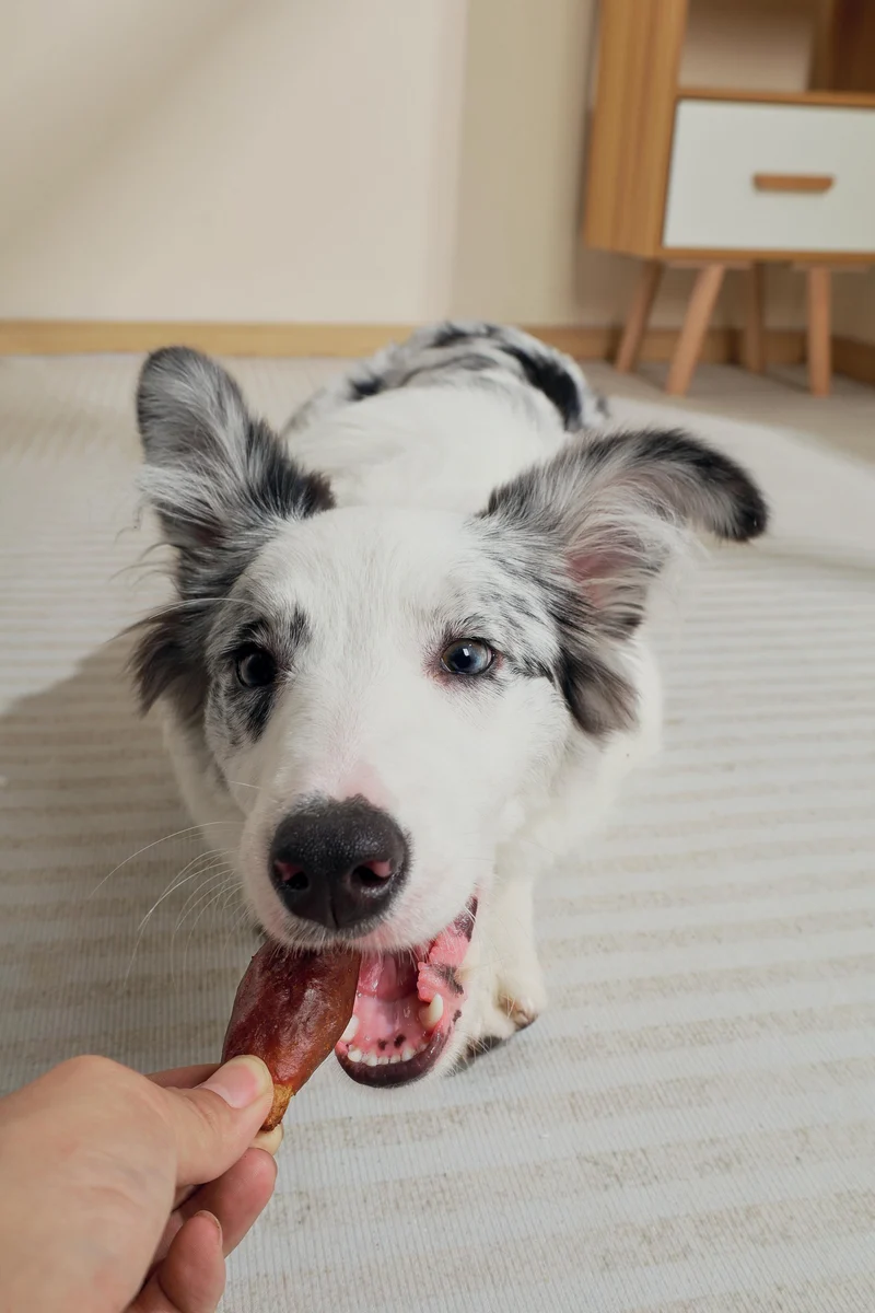 BBQ KINGS - Dog Snacks Rib Bites