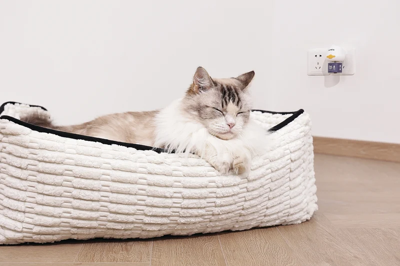 KEEP CALM - Pet diffuser for cats - 48ml