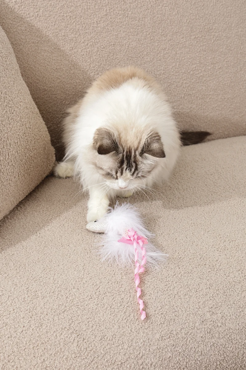 Plume catnip toy Pink fish