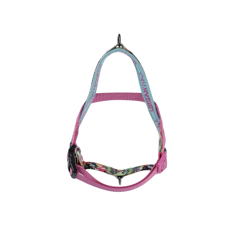 URBAN STYLE GRAFFITI Norwegian Dog harness