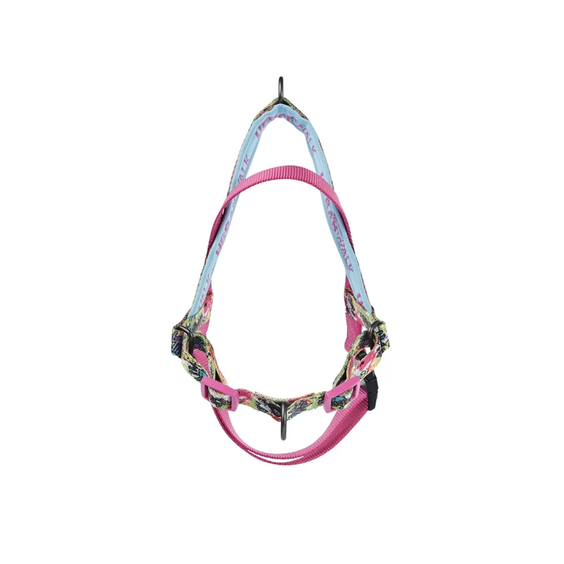 URBAN STYLE GRAFFITI Norwegian Dog harness