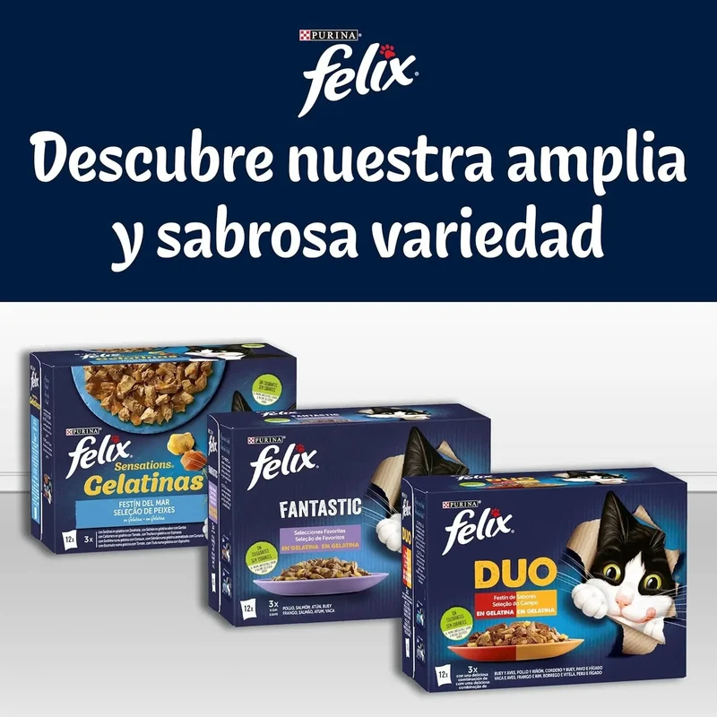 Felix Tasty Shreds Carnes Pack 4x80 g Húmeda para Gatos