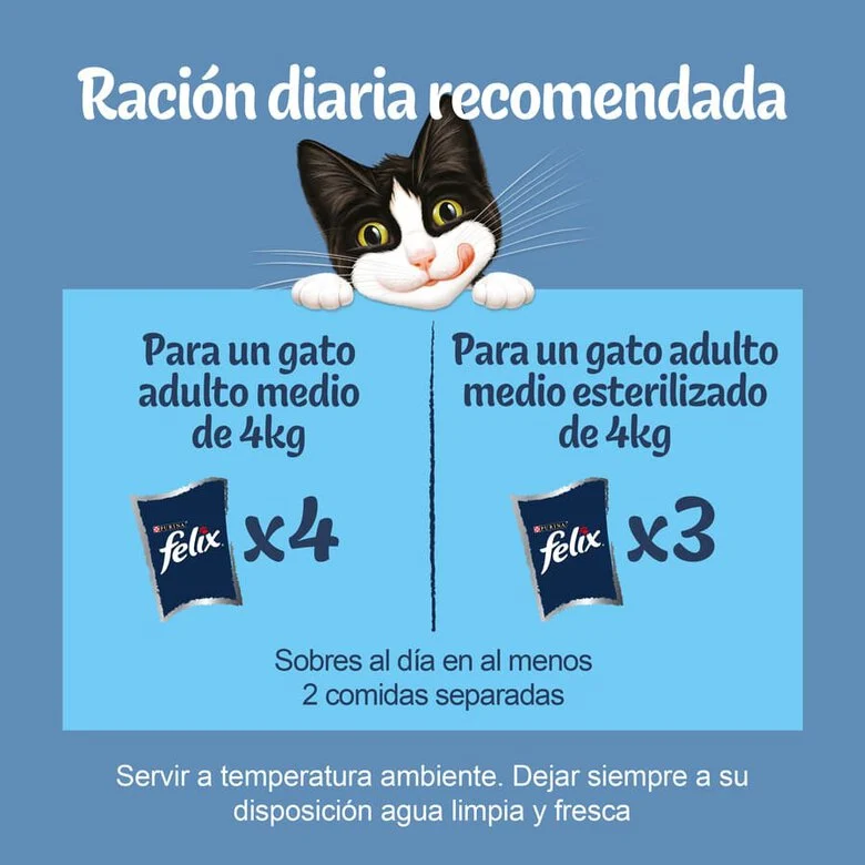 Purina Felix Original Selección De Carnes Sobres En Gelatina 4x85g