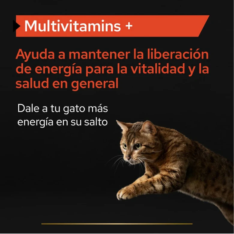 PURINA Pro Plan Multivitamins + 60g