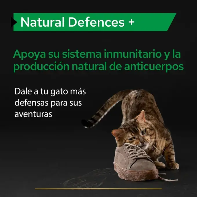 PURINA Pro Plan Natural Defences + 60g