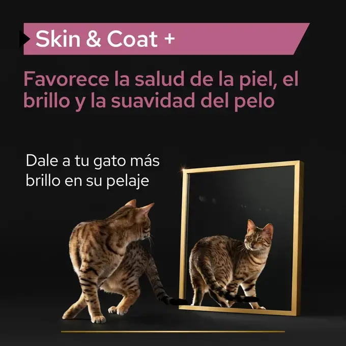 PURINA Pro Plan Skin & Coat + 150ml