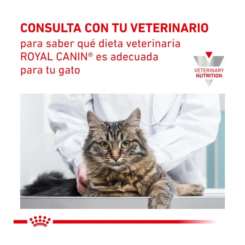 Royal Canin Veterinary Urinary S/O Moderate Calorie