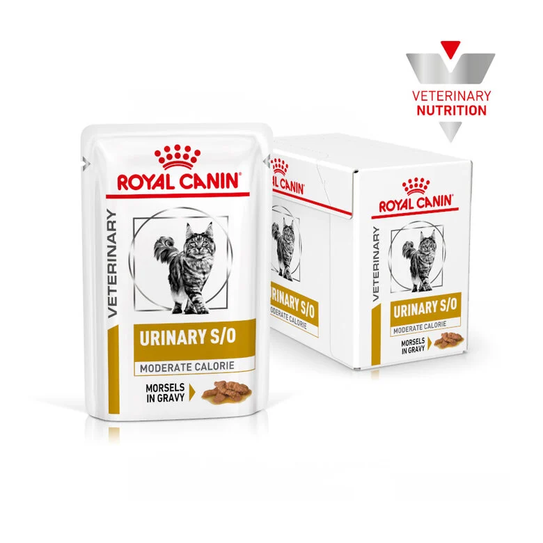 Royal Canin Veterinary Urinary S/O Moderate Calorie 85 Gr (Sobre Bocaditos En Salsa)