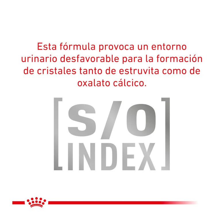 Royal Canin Veterinary Urinary S/O Moderate Calorie 85 Gr (Sobre Bocaditos En Salsa)