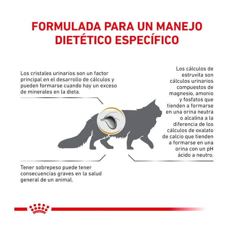 Royal Canin Veterinary Urinary S/O Moderate Calorie 85 Gr (Sobre Bocaditos En Salsa)