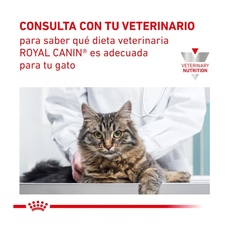 Royal Canin Veterinary Urinary S/O Moderate Calorie 85 Gr (Sobre Bocaditos En Salsa)