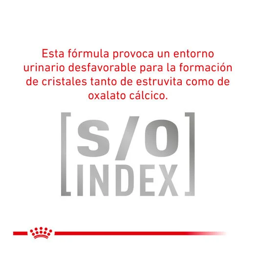 Royal Canin Veterinary Urinary S/O 85 Gr (Sobre Paté). Oferta por proximidad de caducidad 11-2026