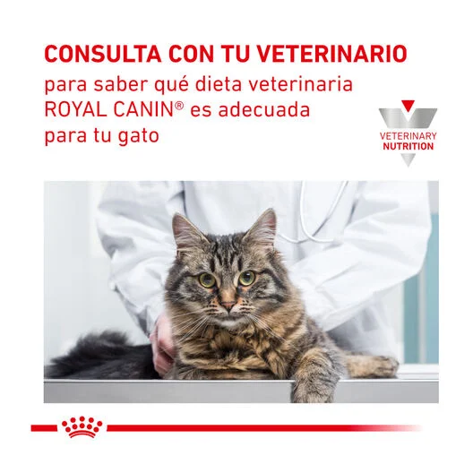 Royal Canin Veterinary Urinary S/O 85 Gr (Sobre Paté). Oferta por proximidad de caducidad 11-2026