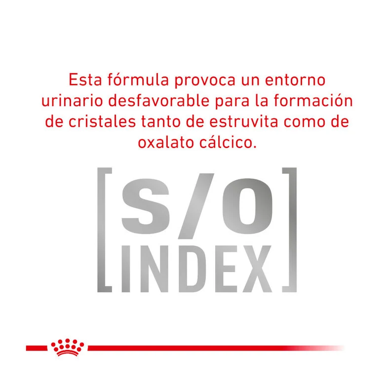 Royal Canin Veterinary Urinary S/O