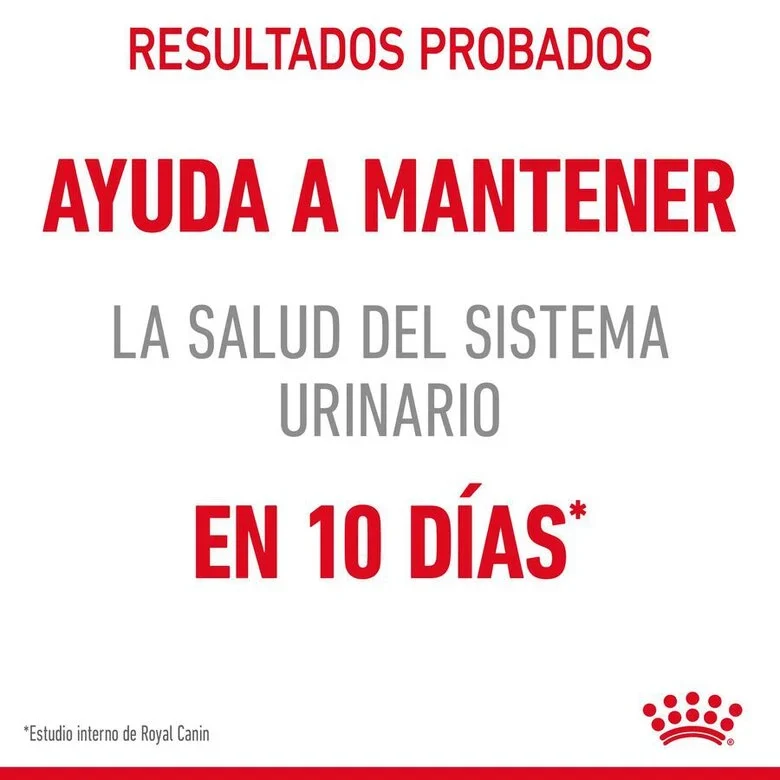 Royal Canin Adult Urinary Care 85 Gr (Sobre Salsa)