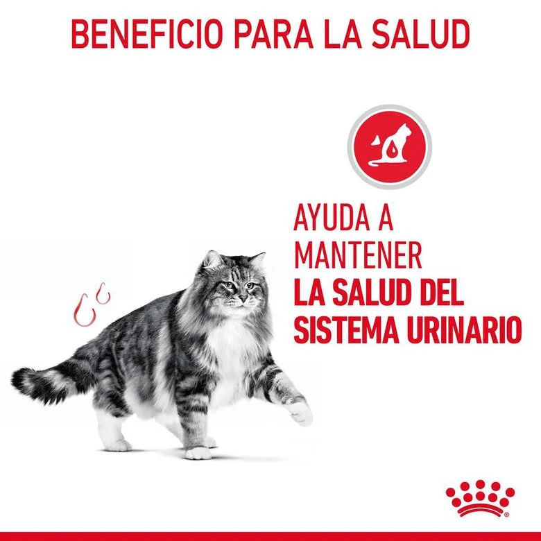 Royal Canin Adult Urinary Care