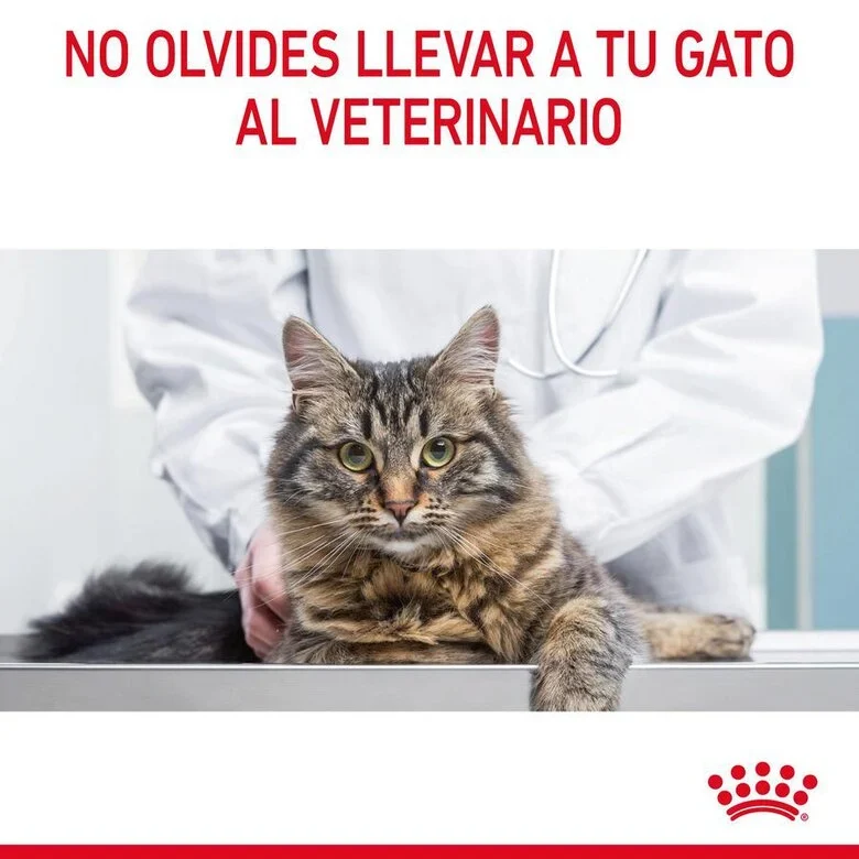 Royal Canin Adult Urinary Care