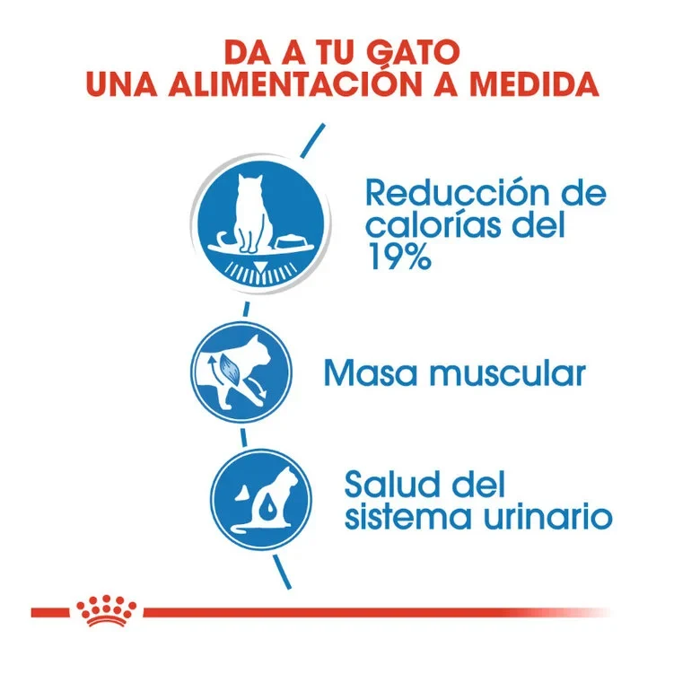 Royal Canin Adult Light Weight Care 85 Gr (Gelatina). Oferta por proximidad de caducidad 10-2026