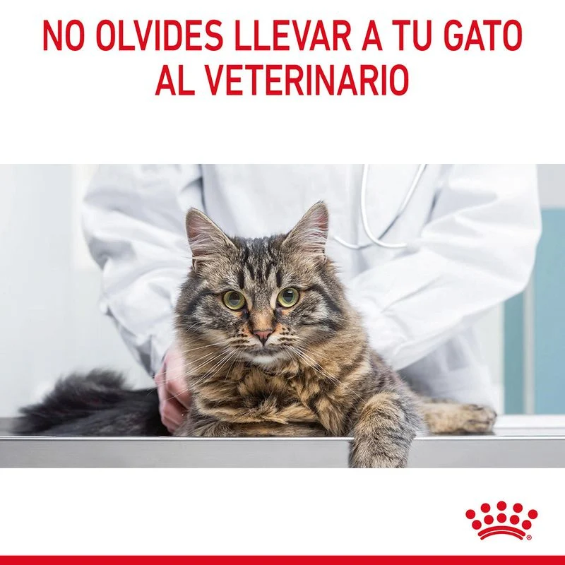 Royal Canin Adult Light Weight Care 85 Gr (Salsa)