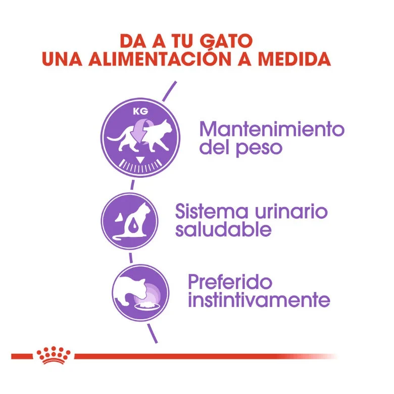 Royal Canin Sterilised 85 Gr (Salsa)