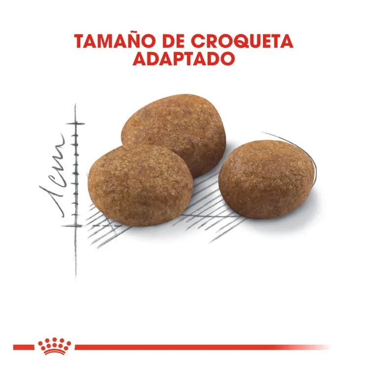 Royal Canin Adult Regular Sterilised +7
