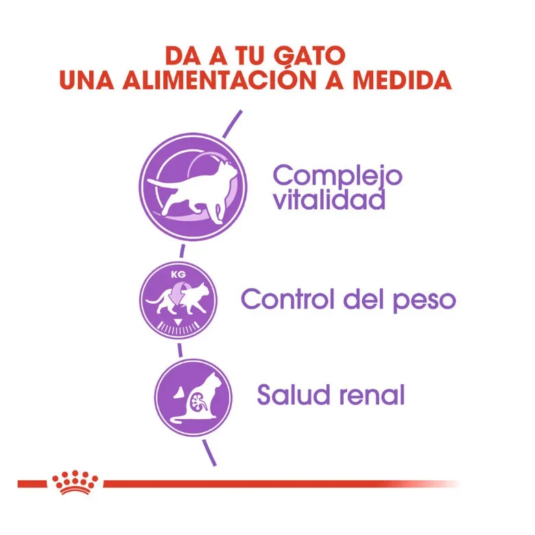 Royal Canin Adult Regular Sterilised +7