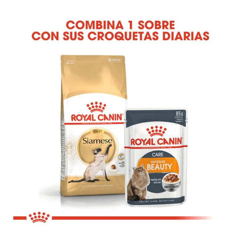 Royal Canin Adult Siamese