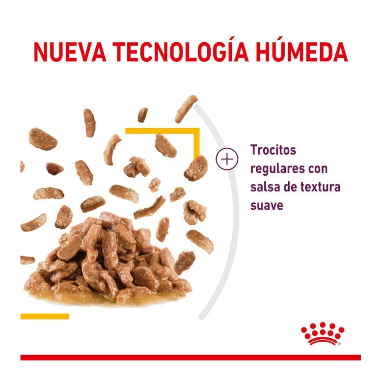 Royal Canin Sensory Taste 85 Gr (Sobre Salsa)
