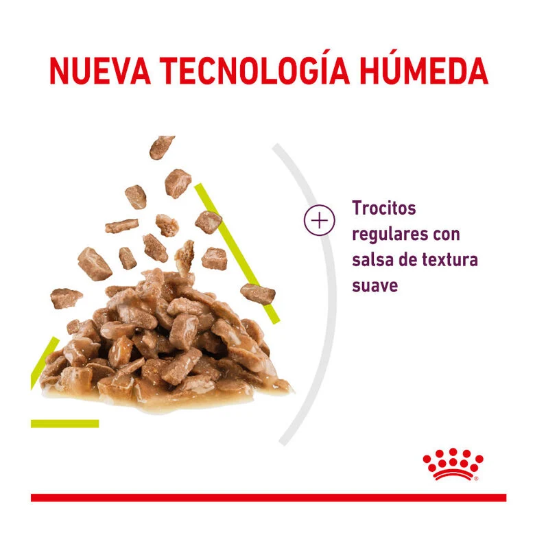 Royal Canin Sensory Smell 85 Gr (Sobre Salsa)