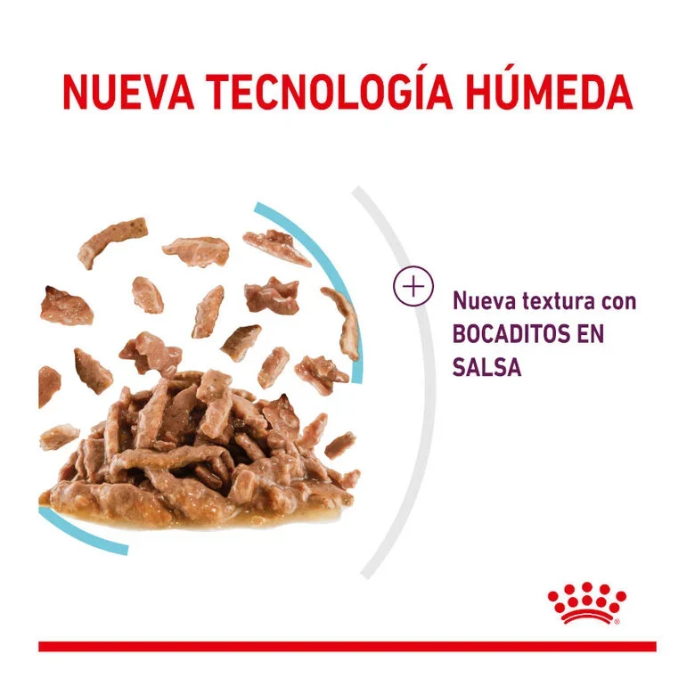Royal Canin Sensory Feel 85 Gr (Sobre Salsa)