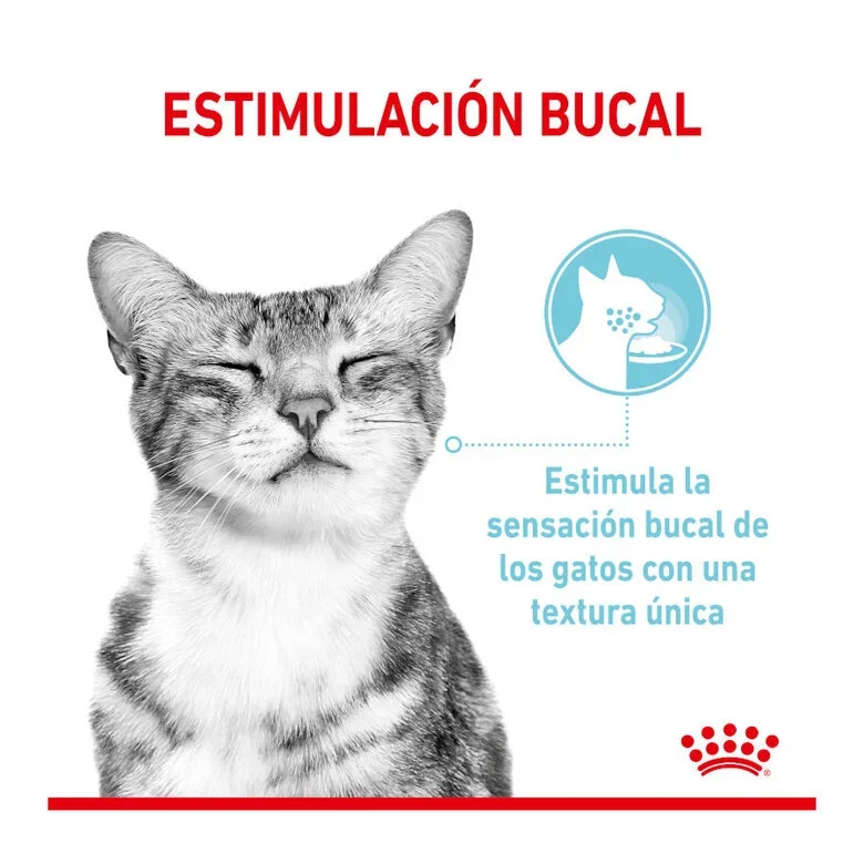 Royal Canin Sensory Feel 85 Gr (Sobre Salsa)
