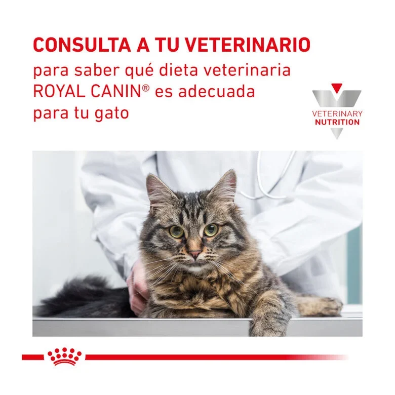 Royal Canin Veterinary Renal Special Cat