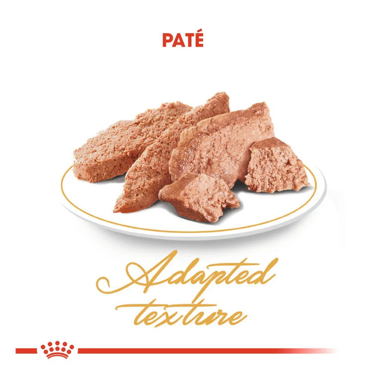Royal Canin Adult Persian 85 Gr (Sobre Paté)