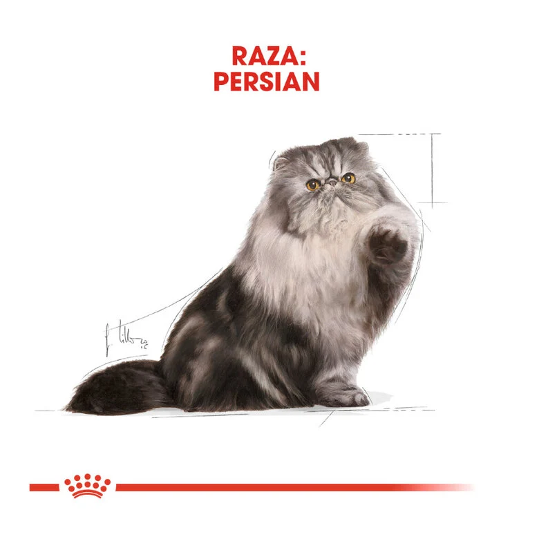Royal Canin Adult Persian 85 Gr (Sobre Paté)