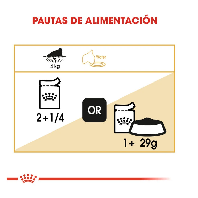 Royal Canin Adult Persian 85 Gr (Sobre Paté)