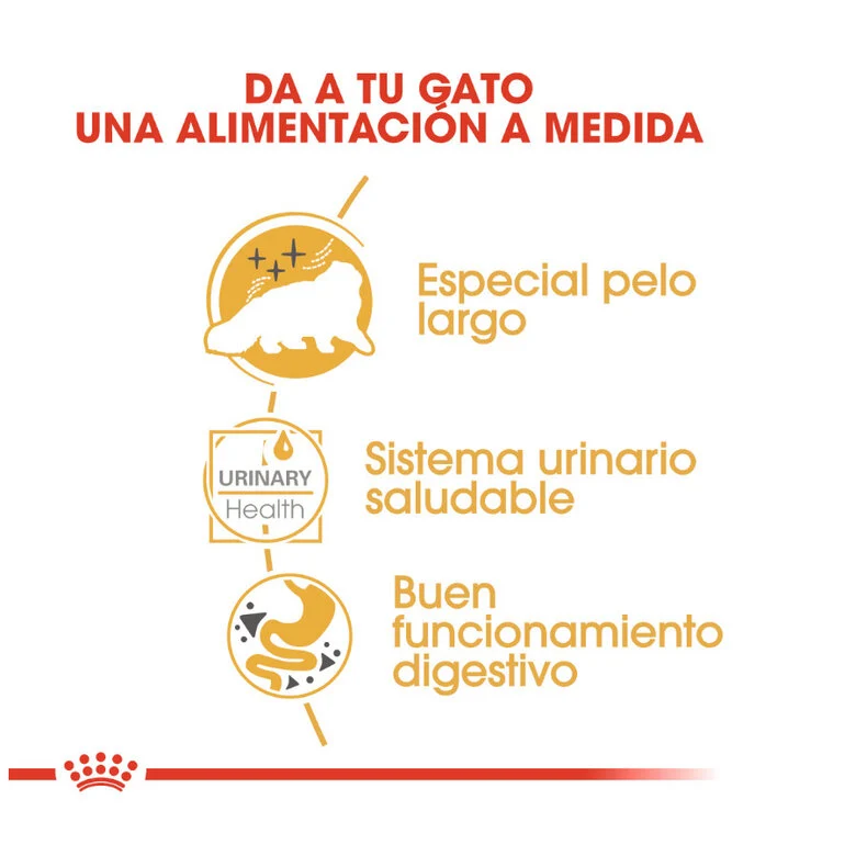 Royal Canin Adult Persian 85 Gr (Sobre Paté)