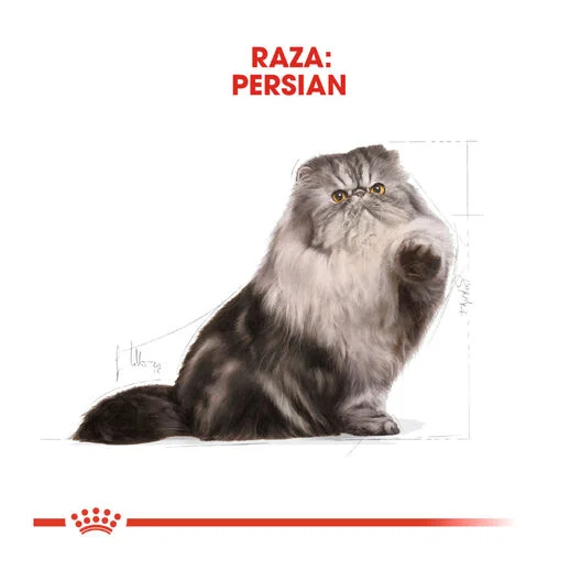 Royal Canin Adult Persian